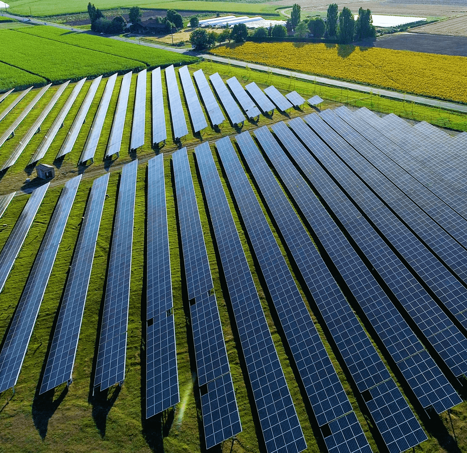 A field of solar panels